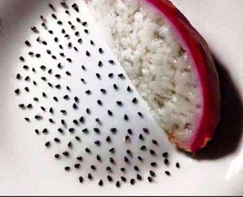 Bocah Woles asal Vietnam