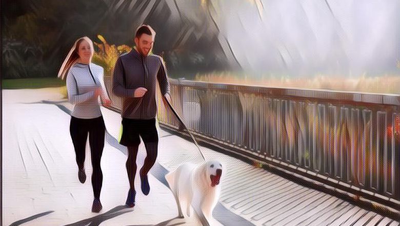 Apakah Hewan Peliharaan Perlu Olahraga? Begini Aturannya