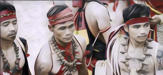 5 Fakta Unik Pasukan Merah Dayak Kalimantan yang Disegani Satu Indonesia