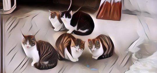 7 Potret Gemes Kucing Karya Fotografer-Fotografer Jepang, Ini Terlalu Cute KutakSanggup~