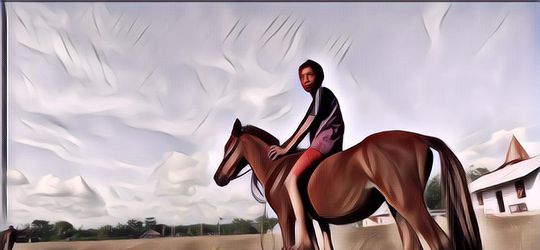 Kuda Sandel yang Sempat Dimiliki Presiden Joko Widodo