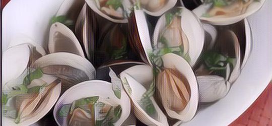 Suka Makan Kerang? Ternyata Banyak Manfaatnya Untuk Kesehatan Lho!