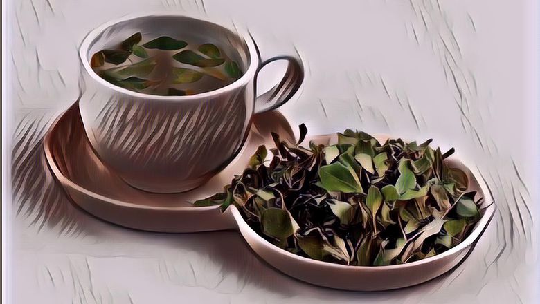 Cara-Cara Minum Daun Kelor dengan Mudah Untuk Sehari-Hari dan Pengobatan