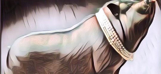 Viral Warga Depok yang Berhasil Menangkap Babi Ngepet Telanjang