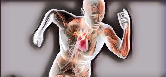 7 Cara Meningkatkan Metabolisme Tubuh, Agar Kalori di Tubuh Bisa Dibakar Saat Istirahat