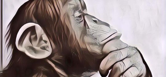 Yuklah Bongkar Beberapa Hal yang Selama Ini Dianggap Fakta, Padahal Mitos... [Bagian 2]