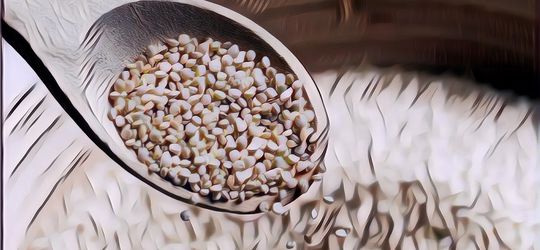 Kandungan Nutrisi dan Manfaat Kesehatan Quinoa