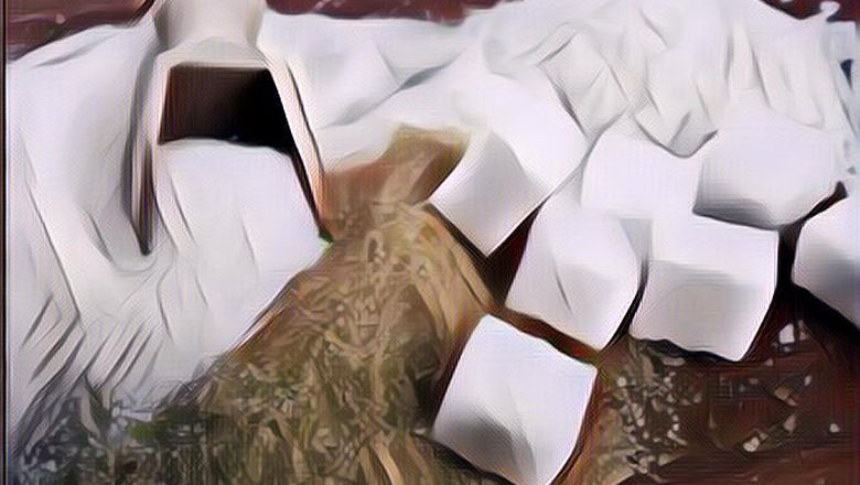 Gula Penyebab Diabetes Ternyata Tidak Hanya Berasal dari Makanan Manis, Begini Penjelasan Ahli