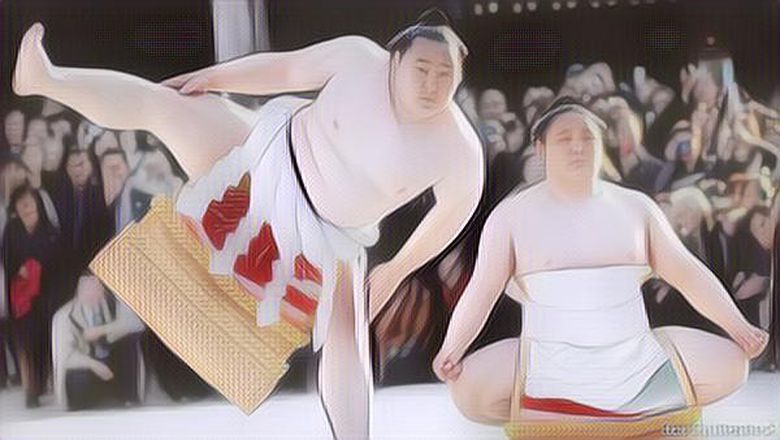 Rahasia Pesumo Tetap Sehat dan Tidak Kena Obesitas, Kok Bisa?