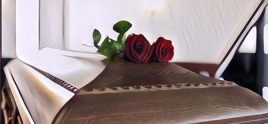 Ada-Ada Aja! Pengantin Ini Bikin Konsep Pernikahan Teraneh, Masuk ke Peti Mati Sebelum Digotong ke Pelaminan