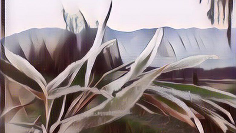 Persiapan ke Dieng Culture Festival 2018