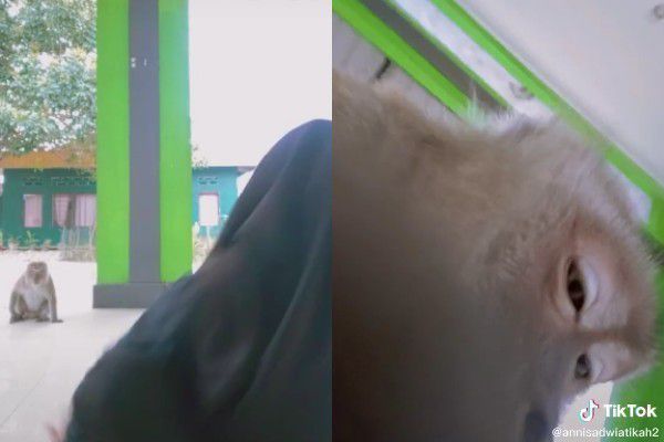 Dapet Respon dari Warganet