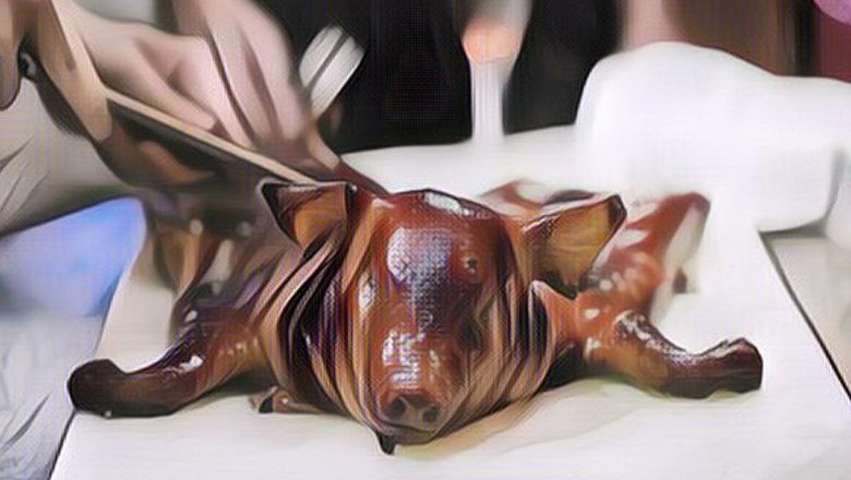 Dipaksa Netizen Masak Babi Guling, Jawaban Wanita Muslim Ini Bikin Kaget