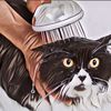 Inilah Alasan Kucing Takut Sama Air, Makanya Jangan Main Asal Siram Ya