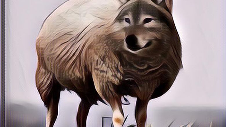 Kata-Kata Sahabat Munafik: Cocok Banget Buat Nyindir~