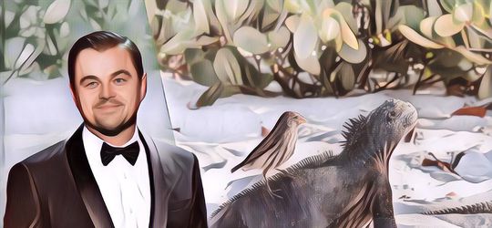 Terus Berjuang Tak Kenal Lelah untuk Bumi, Leonardo DiCaprio Berusaha Menghidupkan kembali Pulau Galápagos di Amerika Latin