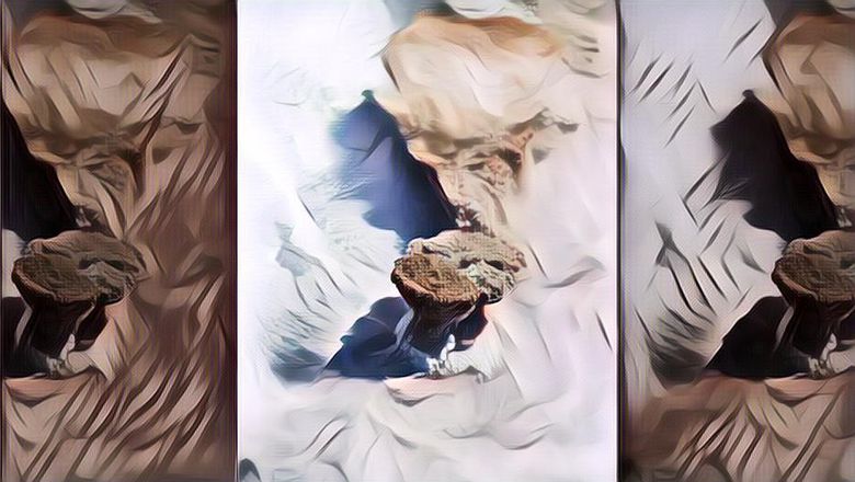 Foto Letusan Gunung Berapi yang Menakjubkan Tangkapan Astronot ISS