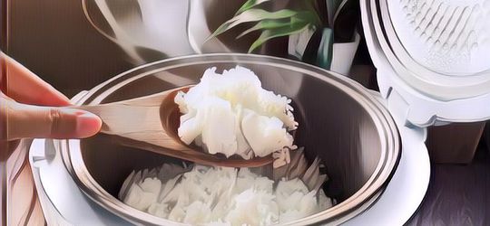 Kocak! Masak Nasi Goreng Tapi Hasilnya Gosong, Bentuknya Malah Mirip Kayak Batu Cobek