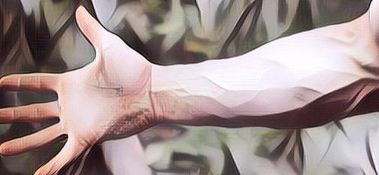 Apa Sih Perbedaan Pembuluh Nadi dan Pembuluh Balik? Ini Penjelasannya