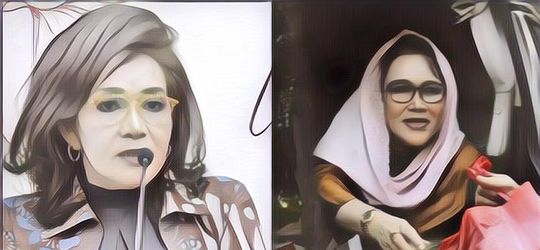 Ini Dia Istri Syahrul Yasin Limpo, Profesinya Bikin Terkejut