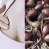Mitos atau Fakta: Bawang Merah Bisa Membesarkan Payudara?