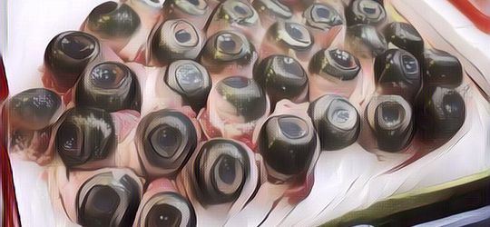 Daftar Makanan Paling Ekstrim dari Seluruh Dunia, Kamu Berani Coba?