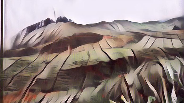 Nggak Cuma Puncak Cipanas, Ini Rekomendasi Wisata Kebun Teh di Indonesia yang Nggak Kalah Keren