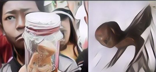 Cara Menangkap Tuyul di Rumah, Mudah dan Gak Perlu Pakai Mantra Khusus