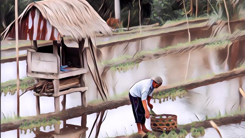 Surga Baru di Bali yang Wajib Kamu Datengin