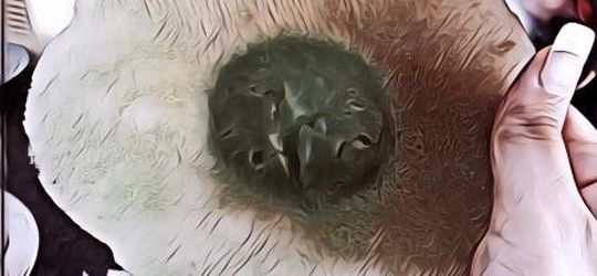 Nama Makanan Aneh di Indonesia, Kue Tete Sampai Nasi Kentut, Makanan Khas Mana Nih?