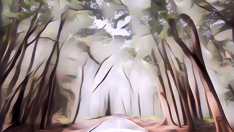 Larangan di Alas Purwo, Hutan Paling Angker di Pulau Jawa