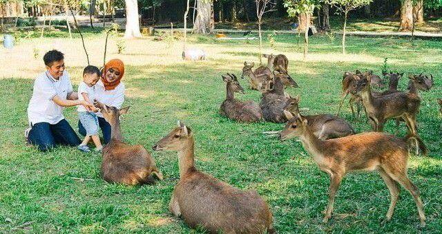 1. Taman Balekambang