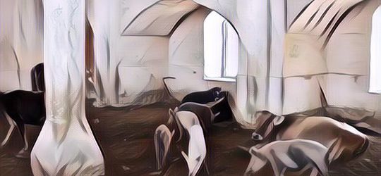 Sedih Banget! Ditinggal Pergi Penduduk, Masjid Bersejarah di Agdam Azerbaijan Ini Sekarang Beralih Fungsi Jadi Kandang Babi