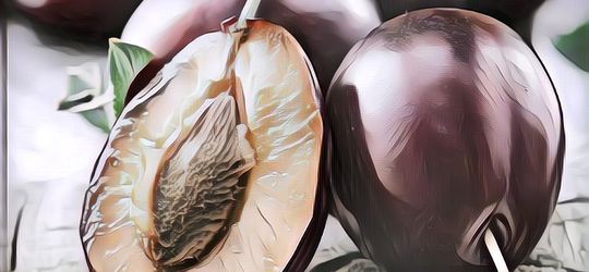 Baik Untuk Diet, Begini Lho Cara Mengonsumsi Buah Plum