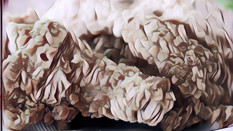 Rahasia Ayam Crispy ala KFC, Garing Kriuknya Bikin Ketagihan, Ini Resepnya!