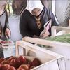 Viral Ada Undangan Pernikahan Beri Souvenir Sayuran Segar