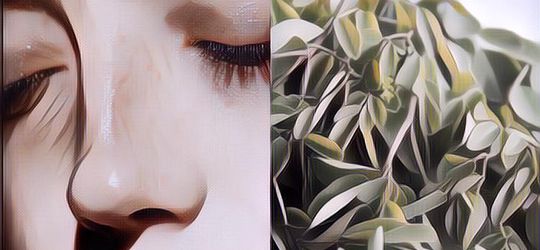 Gak Disangka! Daun Yang Ditemukan Di Pinggir Jalan Ini Bisa Jadi Skincare Alami Hilangkan Jerawat Hingga Flek Hitam