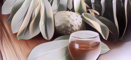 Jangan Dibuang, Ini 5 Manfaat Daun Sirsak Rebus untuk Kesehatan