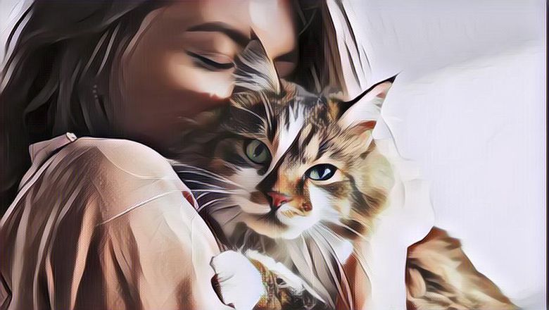 Coba Cek! Berikut 10 Tanda Jika Kucing Peliharaan di Rumah Sayang Padamu