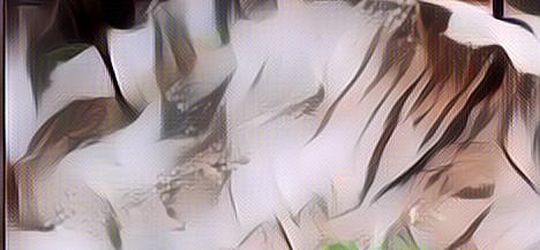 Bencana Tanah Longsor di NTT, Menelan 3 Korban Jiwa