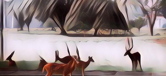 5 Rekomendasi Kebun Raya di Indonesia yang Cocok Dikunjungi Bareng Keluarga