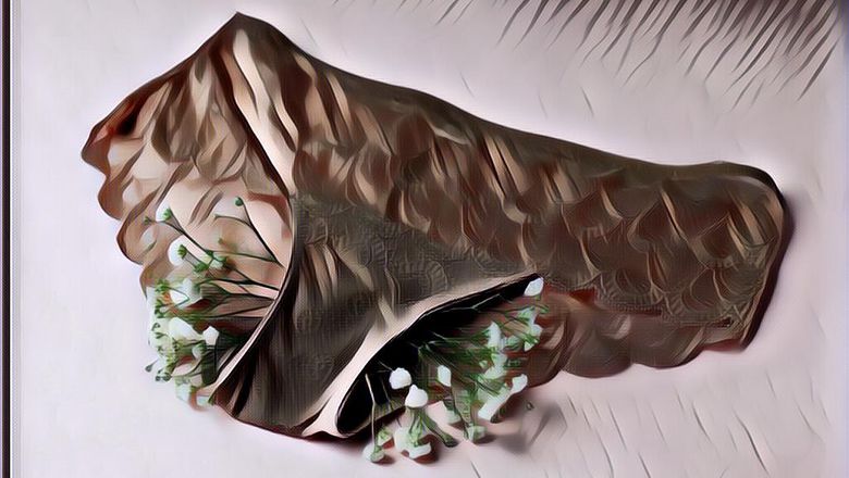 Tips Ampuh untuk Menghilangkan Bau Tidak Sedap Pada Miss V