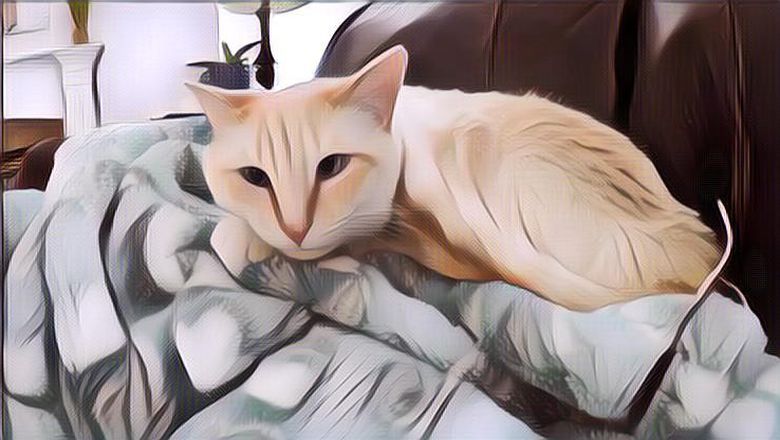 Life Hack untuk Mahasiswa Sobat Mager