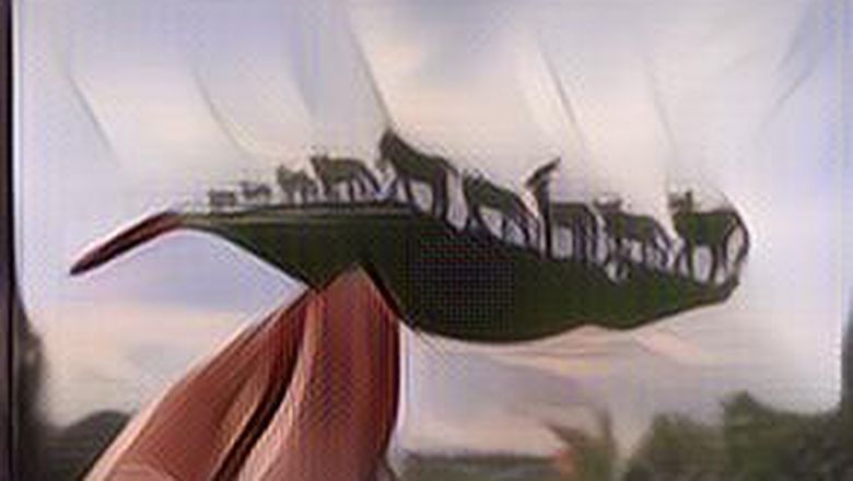 Wow! Ini Terlalu Cute! 7 Karya Seni Ukiran Daun Ini Detailnya Bikin Pengen Memiliki