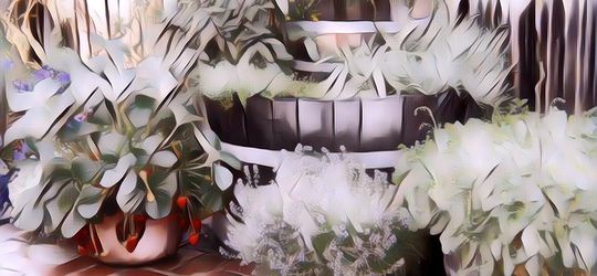 Cara Membuat Apotek Hidup, Penyedia Obat Herbal Bagi Keluarga