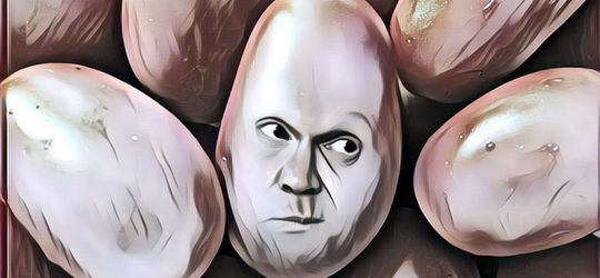 Buah Tomat dan Segala Bahayanya, Kamu Perlu Perhatikan!