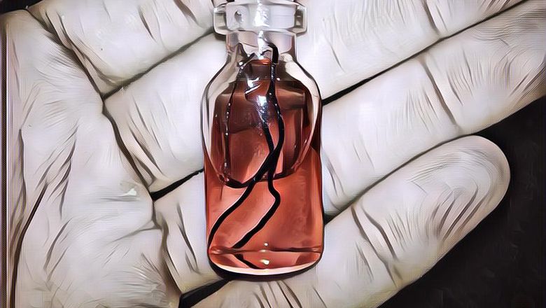 Apa Itu Bulu Perindu dan Kegunaannya