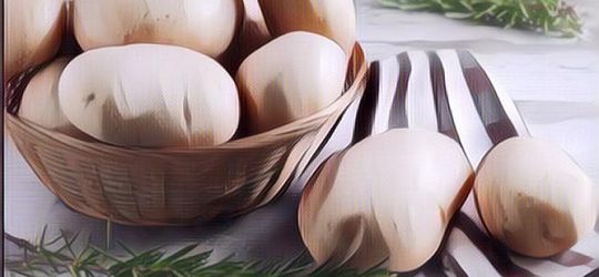 Hati-Hati, Jangan Simpan kentang di Kulkas Karena Bisa Picu Kanker!