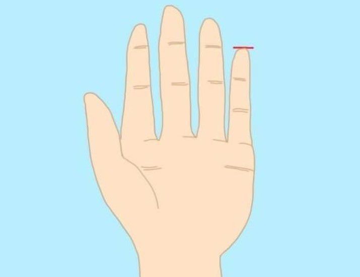 2. Jari kelingking sejajar dengan ruas terakhir jari manis