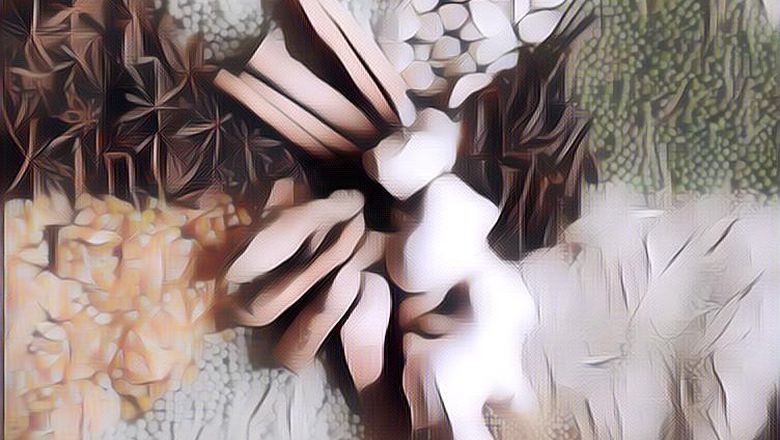 Deretan Rempah untuk Diet yang Efektif, Ternyata Ada di Sekitar Kita!